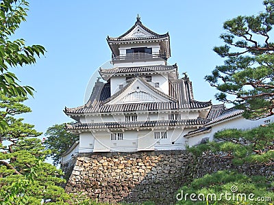 Kochi Castle in Kochi, Kochi Prefecture, Japan. Stock Photo