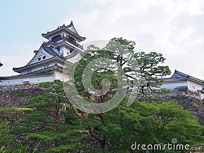 Kochi Castle in Kochi, Kochi Prefecture, Japan. Stock Photo