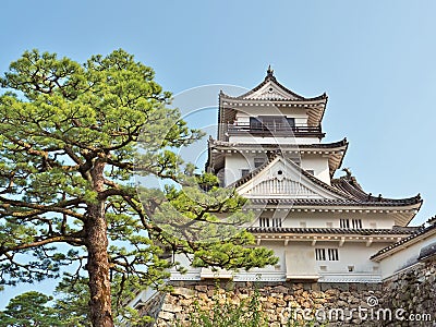 Kochi Castle in Kochi Prefecture, Japan. Stock Photo