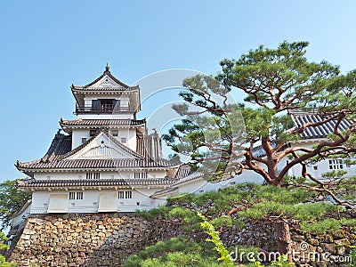 Kochi Castle in Kochi Prefecture, Japan. Stock Photo