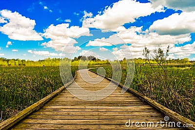 Kohler-Andrae State Park Boardwalk Stock Photo