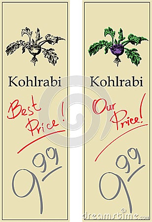 Kohlrabi Vector Illustration