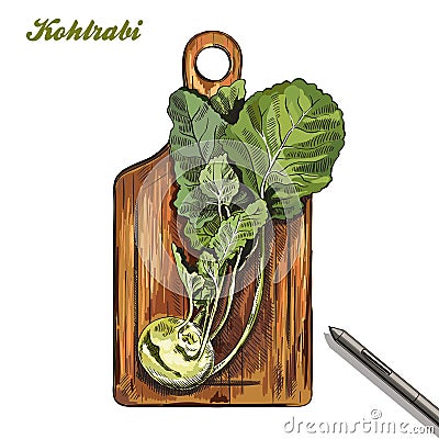 Kohlrabi on a cutting board. harvesting. colored illustration. Vector Illustration