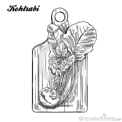 Kohlrabi on a cutting board. harvesting. sketch made by hand. Vector Illustration