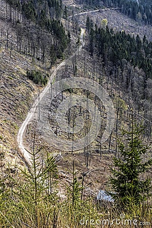 Kohut hill, Stolica mountains, Slovakia, forest calamity Stock Photo