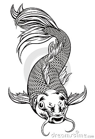 Koi Carp Fish Vector Illustration