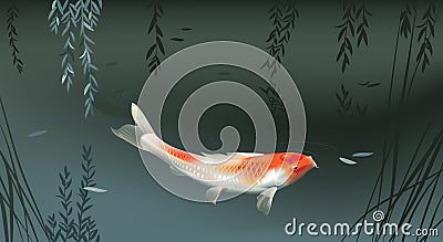 Koi carp in pond Vector Illustration