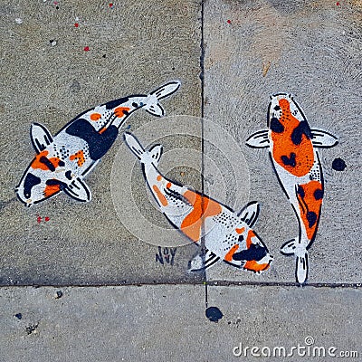 Koi Carp Swimming on Concrete Sidewalk Editorial Stock Photo