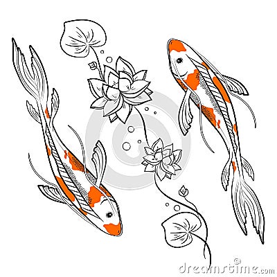 Koi carps fish with lotus vector illustration. Japanese oriental style colorful carps swimming Vector Illustration