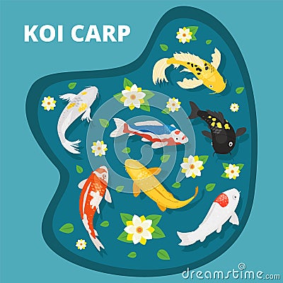 Koi carps vector illustration. Animals asian goldfish multicolored decorative koi carps swim in lake pond among Vector Illustration