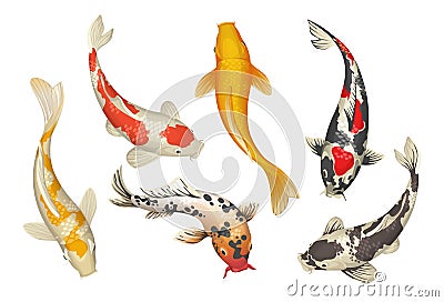 Koi fish. Cartoon Chinese traditional pond carp. Oriental Japanese goldfish collection. Nature Zen. Isolated underwater Vector Illustration