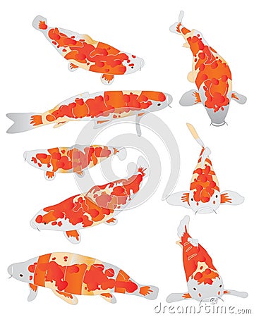 Koi fish orange set Vector Illustration