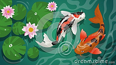 Koi fishes swiming in the pond Vector Illustration