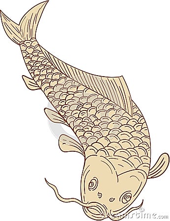 Koi Nishikigoi Carp Diving Down Drawing Vector Illustration