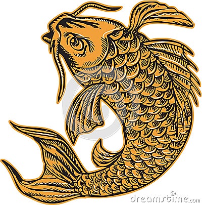 Koi Nishikigoi Carp Fish Jumping Etching Vector Illustration