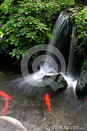 Koi Pond 3 Stock Photo