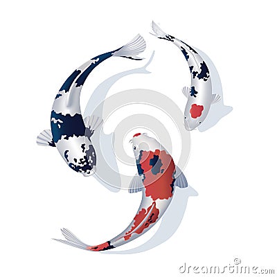 Koi Vector Illustration