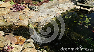 Koivijver stock footage Koivijver stock footage