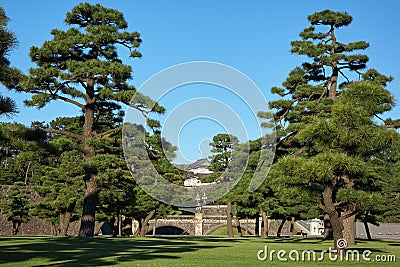 Kokyo Gaien National Garden. Tokyo. Japan Stock Photo