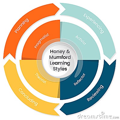 Honey and Mumford Learning Styles Model infographic vector Stock Photo