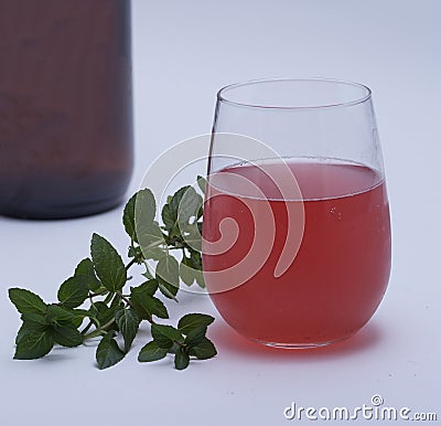 Kombucha Fermented Tea Stock Photo