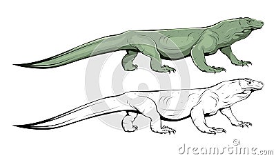 Komodo lizard. Illustration of varan. Komodo dragon. Vector Illustration