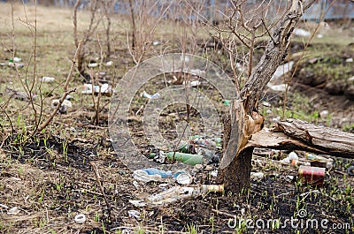 Tree broken by hooligans and vandals. land with trash, broken bottles and cans. environmental pollution Editorial Stock Photo
