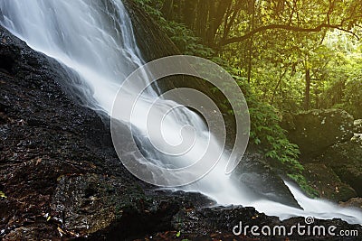 Kondalilla Falls in Kondalilla Falls National Park. Stock Photo