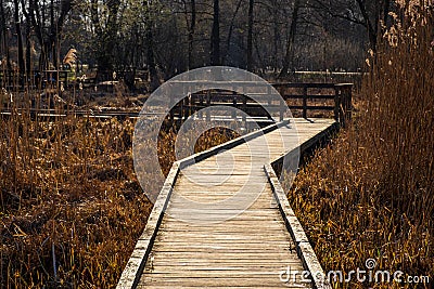 Konstancin-Jeziorna, Poland - Sightseeing footbridge path across reeds and wetlands of Konstancin-Jeziorna Springs Park near Stock Photo