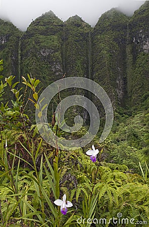 Hawaii Scenery: Koolau Mountains with orchids Stock Photo