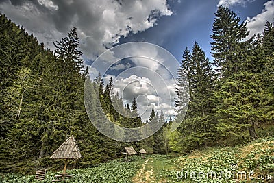 Kopaonik mountain in Serbia Stock Photo