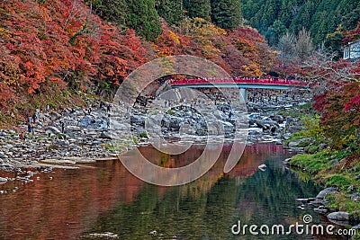 Korankei in autumn season. Editorial Stock Photo