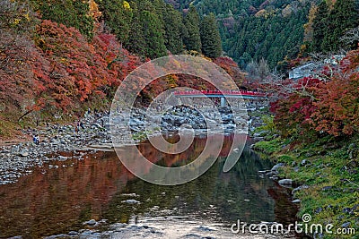 Korankei in autumn season. Editorial Stock Photo