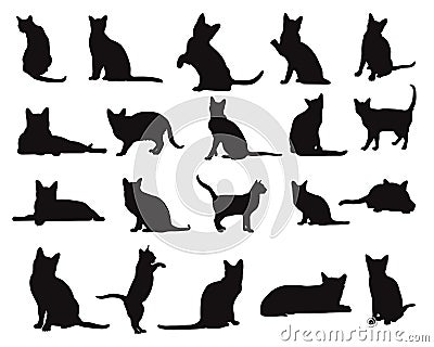 Korat cat animal silhouettes, Cats silhouette Vector Illustration