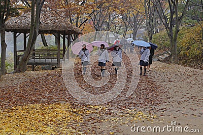 Korean female students walk under umbrellas in autumn color at Namsangol traditional folk village, Seoul, South Korea - NOVEMBER 2 Editorial Stock Photo