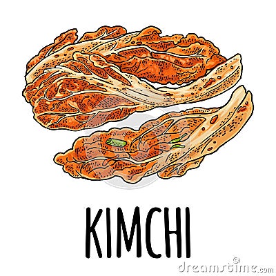 Korean food kimchi. Vintage color vector engraving illustration. Isolated Vector Illustration