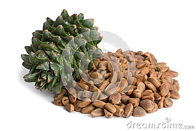 Korean pine cone and nuts Stock Photo
