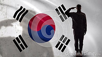 Korean soldier silhouette saluting against national flag, military operation Stock Photo