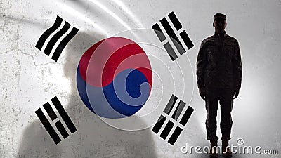 Korean soldier silhouette standing against national flag, proud army sergeant Stock Photo