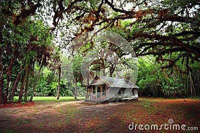 Koreshan State Park Stock Photo