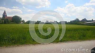 Kornfield in the Summer Stock Photo