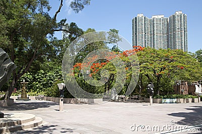 Kowloon park in modern city Hongkong China Asia Editorial Stock Photo