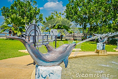 KRABI, THAILAND - FEBRUARY 19, 2018: Close up of stoned dolphing in artificial pond close to the river in Krabi town Editorial Stock Photo