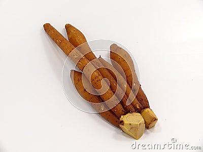 Krachai root Stock Photo