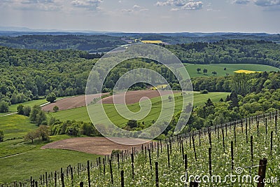 Kraichgau landscape, the Toscana of Germany, view over Eichelberg, Oestringen in May Stock Photo