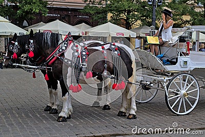 Woman inviting to take tour on horse-drawn carriage. Editorial Stock Photo