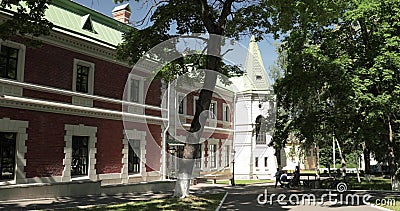 Krasny Bereg, Zhlobin-District, Wit-Rusland Manor-park Complex Landgoed gatowski-Poklevsky-Kozell op Bank van Rivier Dobosna stock videobeelden Krasny Bereg, Zhlobin-District, Wit-Rusland Manor-park Complex Landgoed gatowski-Poklevsky-Kozell op Bank van Rivier Dobosna stock videobeelden