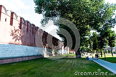 Kremlin wall. Powerful beautiful old wise tree. Editorial Stock Photo