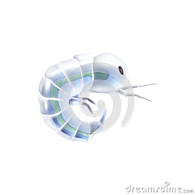 Krill Plankton Icon Cartoon Illustration