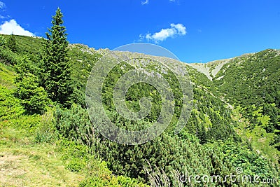 Krkonose mountains Stock Photo